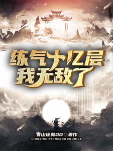 开局练气十万层叶枫