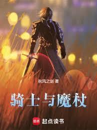 骑士与魔杖好看吗
