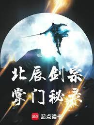 北辰剑宗掌门秘录手打