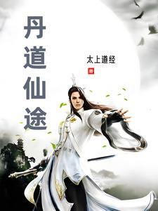丹道神途完结