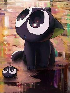 番剧猫咪日常