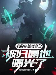 我穿越者没看过原著
