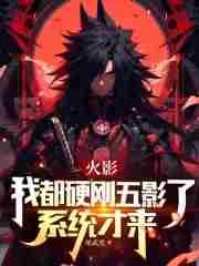 系统才来 第502章