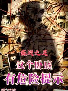我谍战之王