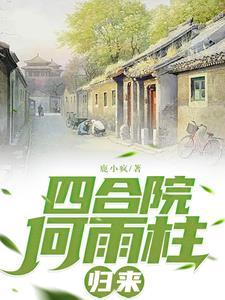 重生穿越傻柱