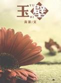 玉壁无暇