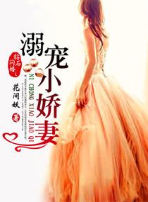 钻石闪婚之溺宠小娇妻容颜的身世